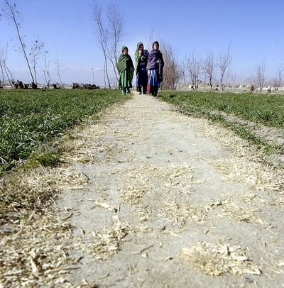 15歳妻をトイレに監禁5か月、アフガニスタン