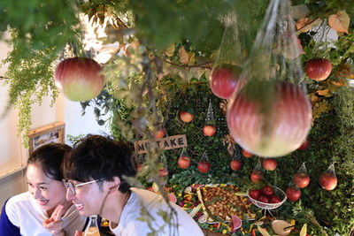 「りんご狩り」体験を農園から都会にお届け 都内のケータリング会社が企画　
