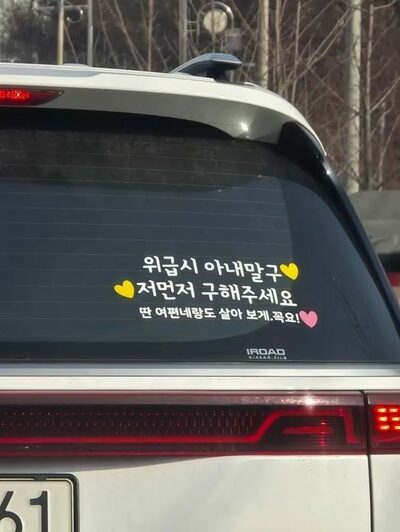「緊急時は妻より先に救助して」「他の女とも暮らしてみたい」…韓国・車の「くだらない」ステッカーが物議
