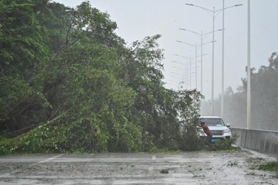 台風18号「ラガサ」 広東省に上陸 台湾で死傷者32人