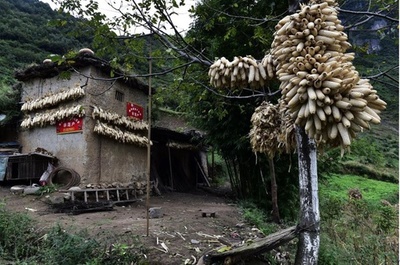 「断崖の村」がフォトジェニックなスポットに 中国・四川省