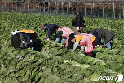 韓国江原道の農家、負債増・人口減→「帰農人気」も衰えて