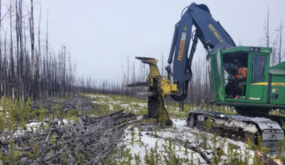 森林火災による被害木を未来ある再生可能エネルギーに転換