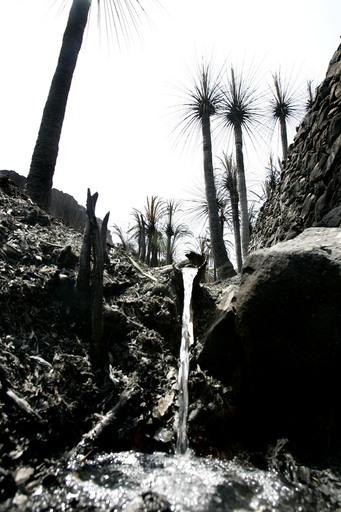 カナリア諸島の山火事、鎮火へ