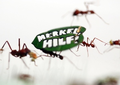 アマゾン熱帯雨林の保護訴えアリ50万匹が「デモ行進」 ドイツ 