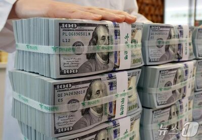 韓国、初の対米投資に24億ドル…外貨資産を活用、米テキサス発電所へ