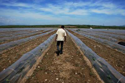 コソボ自治州独立をめぐる国連決議案の採決を延期