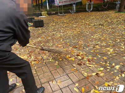 7万円の落ち葉処理を「中古取引」で0円に…韓国マンション代表の手腕・知恵に外野は「うらやましい」