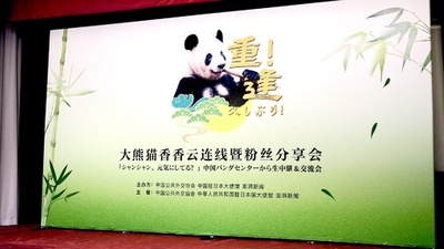 ジャイアントパンダ「シャンシャン」、日本のファンとオンライン再会 中国