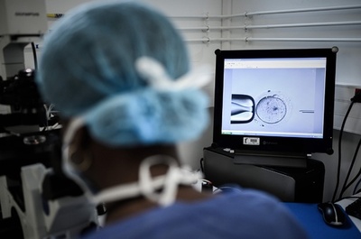 女性の同性愛者や独身女性に体外受精認める法案、仏下院で可決