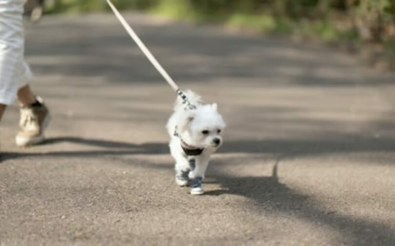 写真は記事の内容とは関係ありません＝gettyimagesBank(c)MONEYTODAY