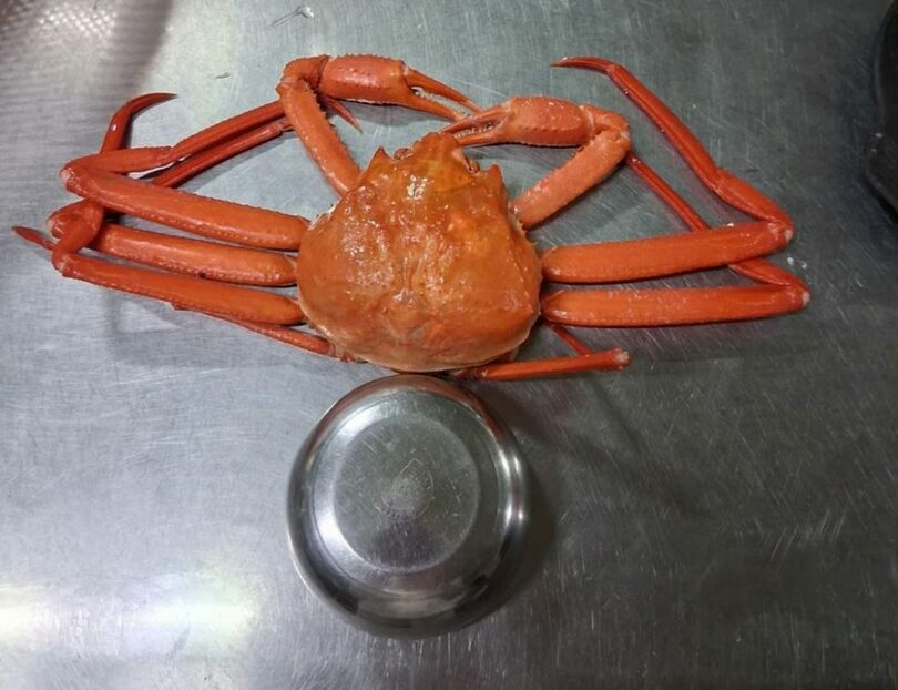 オンラインコミュニティ「ボベドリーム」(c)MONEYTODAY