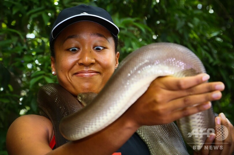 大坂なおみ、動物たちと触れ合い笑顔 豪ブリスベン