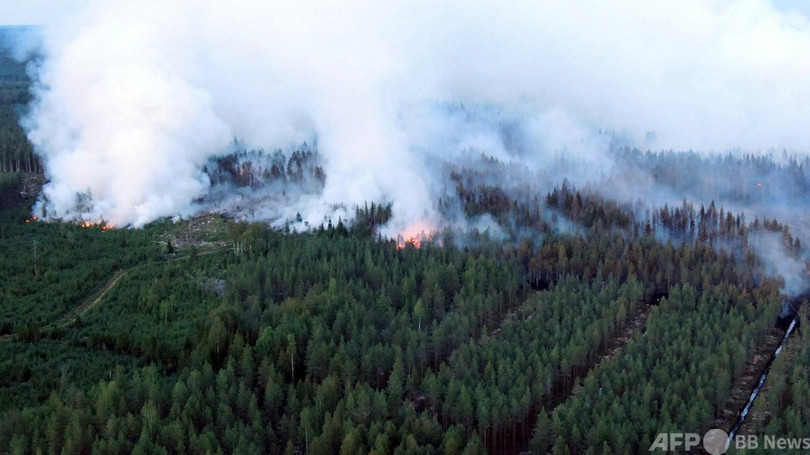 フィンランド、50年で最大規模の山火事発生