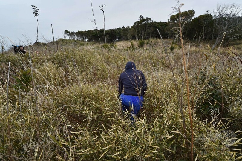 不明の息子を捜し4年、悲しみにとらわれ続ける震災遺族