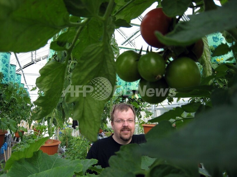 北極圏の永久凍土の地で野菜栽培