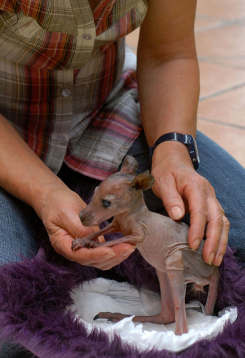 img_1149670098f571a65b9568aa78