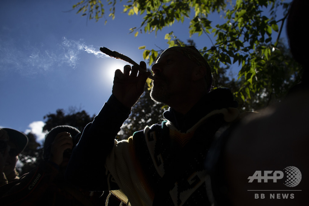 作用が強い大麻と精神疾患発症リスクに強い関連性 研究 作用が強い大麻と精神疾患発症リスクに強い関連性 研究