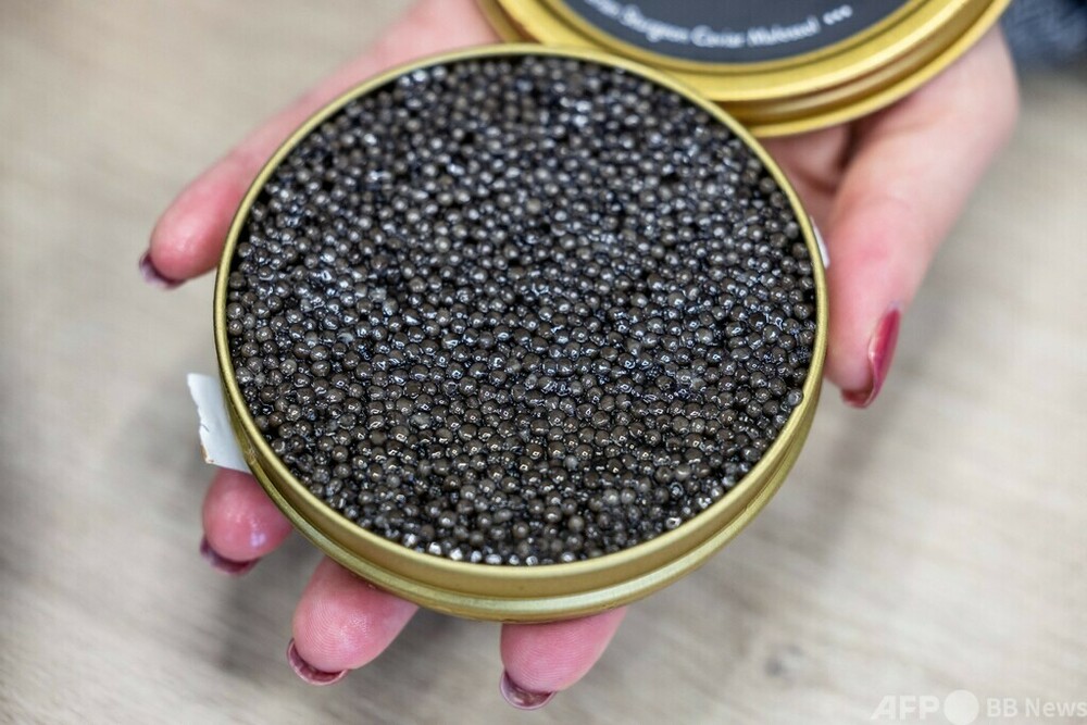 ロシア産キャビア 113g ロシア産キャビア」 虚像と闘うポーランドの生産業者 写真10枚 国際