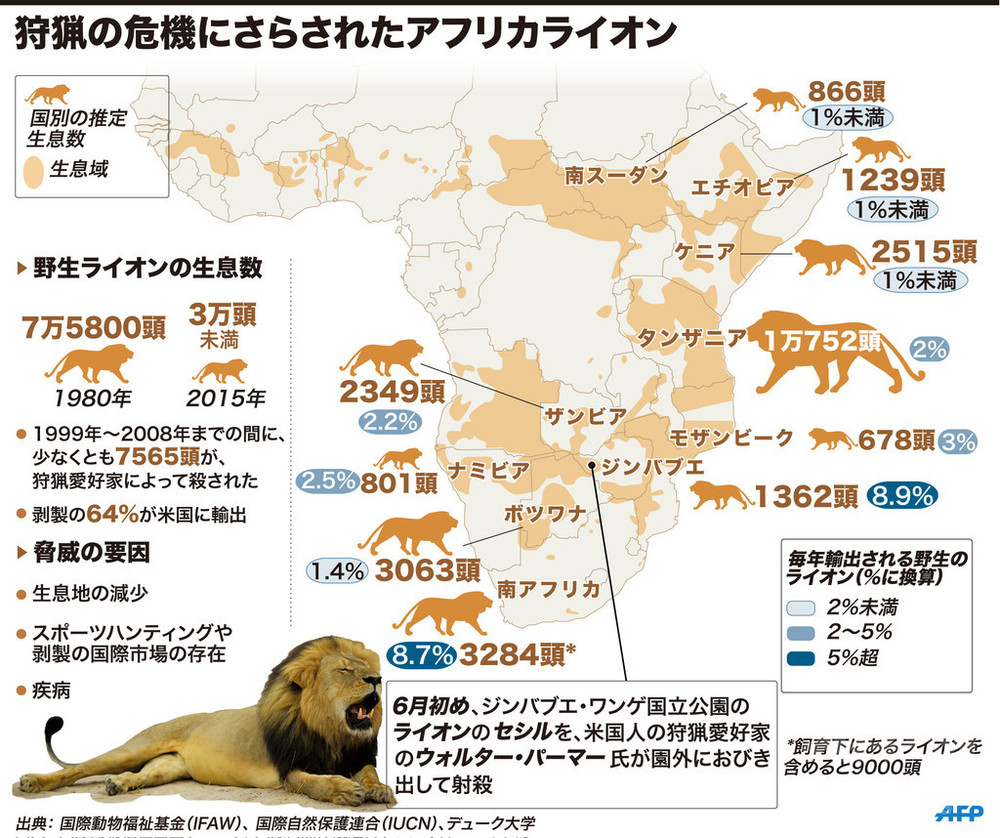 img_11ca4144059976c004cc1af176874fb3295736 ライオンの豆知識　学名、睡眠時間や得意なことは？