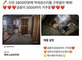 「カビ3000匹が“居住”中」…韓国・当局も注目、300万円「激安ヴィラ」が話題に