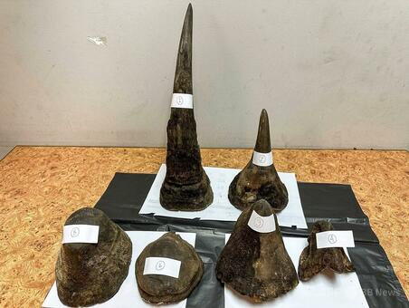 「1269」新疆隕石 隕石 非常に珍しい 重約16kg 肉に隠してサイの角11キロ超を密輸か タイで男逮捕 写真2枚 国際