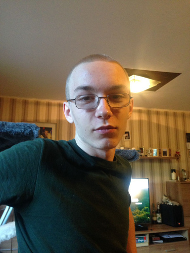 ネットで男児殺害を誇示、19歳の男を逮捕 ドイツ