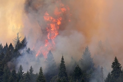米ヨセミテ公園近くで大規模な山火事、加州が緊急事態宣言
