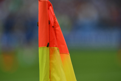 EURO決勝にガの大群が襲来、元オランダ代表も「信じられない」