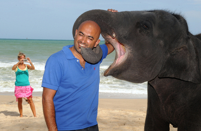 旅行者にも大人気、人懐っこいゾウのリリー
