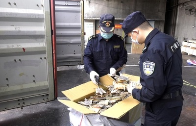 野生動物製品の密輸発覚、相次ぐ 香港がハブに