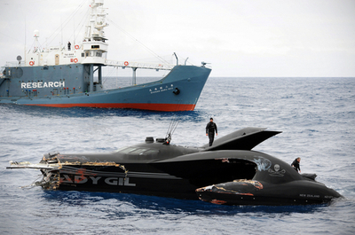 アディ・ギル号衝突の責任所在判断できず、豪海事当局