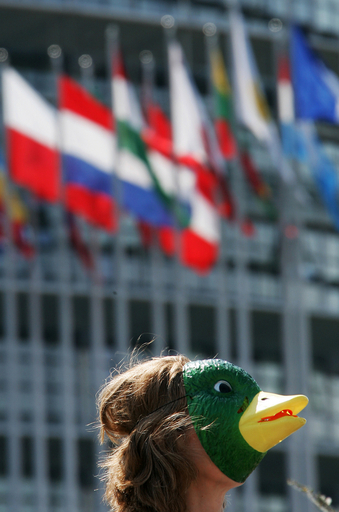 アヒルがフォアグラに抗議　販売店にペンキをまき散らす