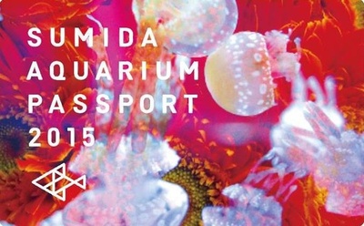 「蜷川実花×すみだ水族館×クラゲ万華鏡トンネル」期間限定でオープン