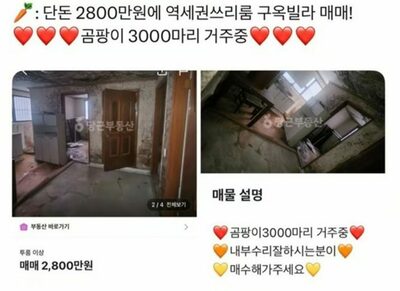 「カビ3000匹が“居住”中」…韓国・当局も注目、300万円「激安ヴィラ」が話題に