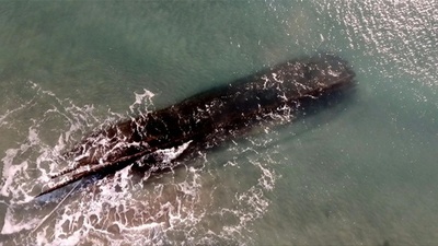 動画:カナダの島に謎の難破船が出現、19世紀のものか