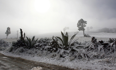 メキシコで積雪、異例の寒気の影響