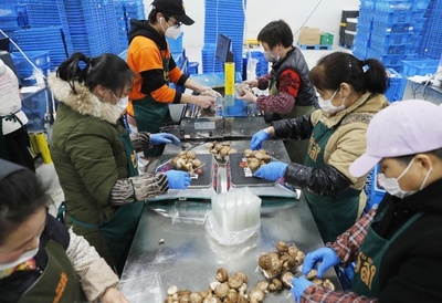 売り上げ伸びても増える赤字 競争続く中国の生鮮食品EC