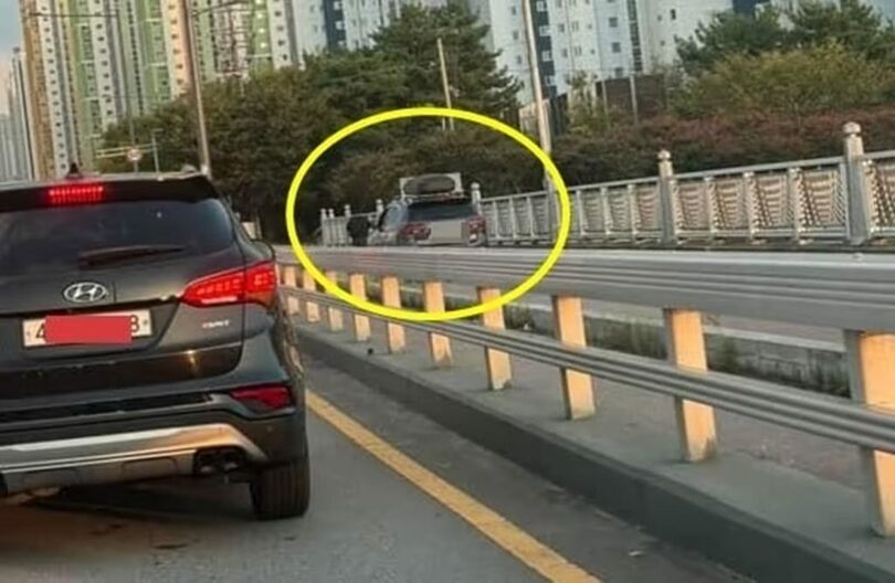 オンラインコミュニティ「ボベドリーム」(c)news1