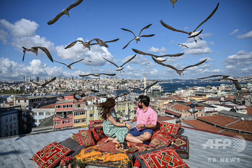 【今日の1枚】街の美観、カモメが主役?