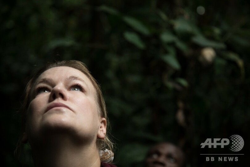 新型コロナで注目のセンザンコウ 少数民族の力借りて研究 中央アフリカ