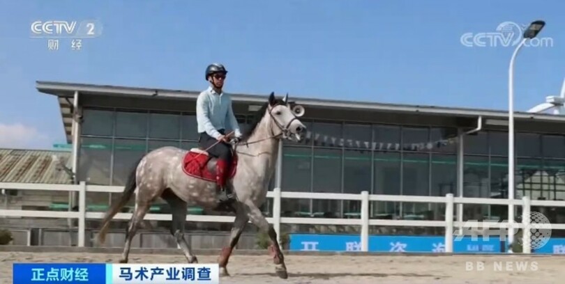 上海で馬術がキャンパス内へ