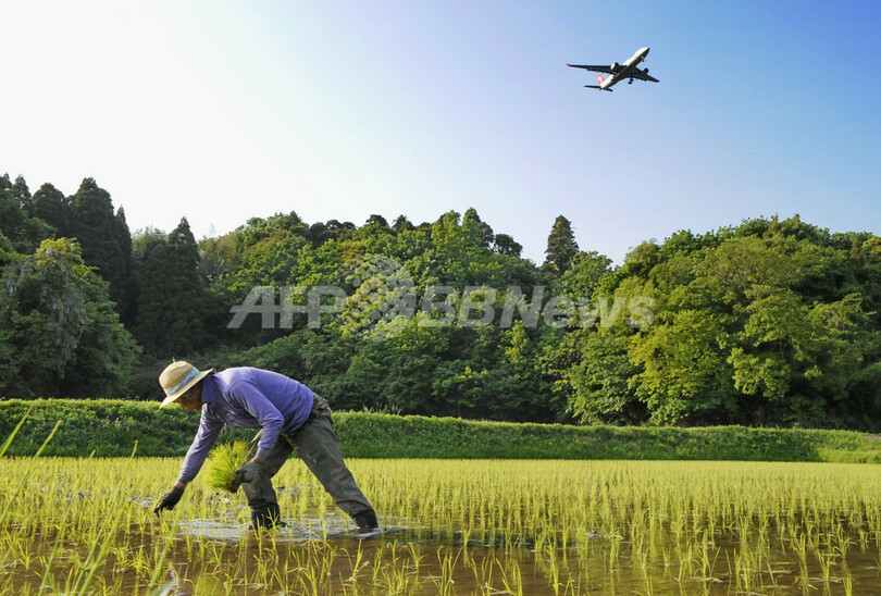 日本の農業人口、20年間で半減 高齢化進む