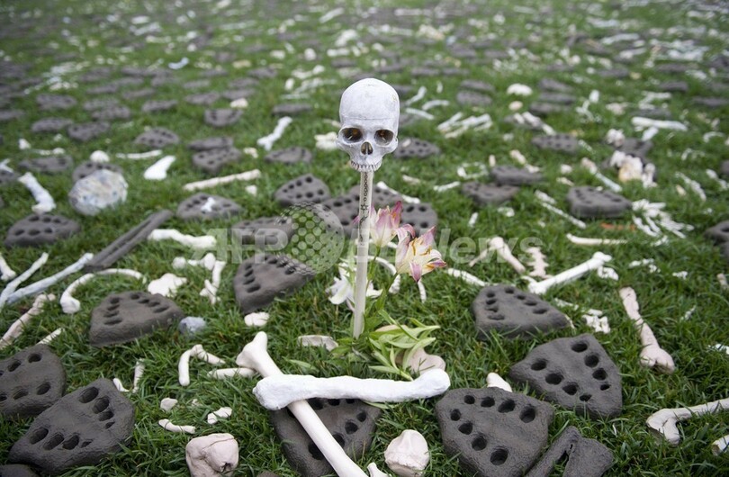 米首都に「100万本の骨」、残虐行為廃止を訴え