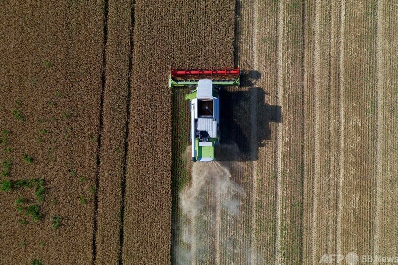 ウクライナ東部の農場、ロシアに穀物販売