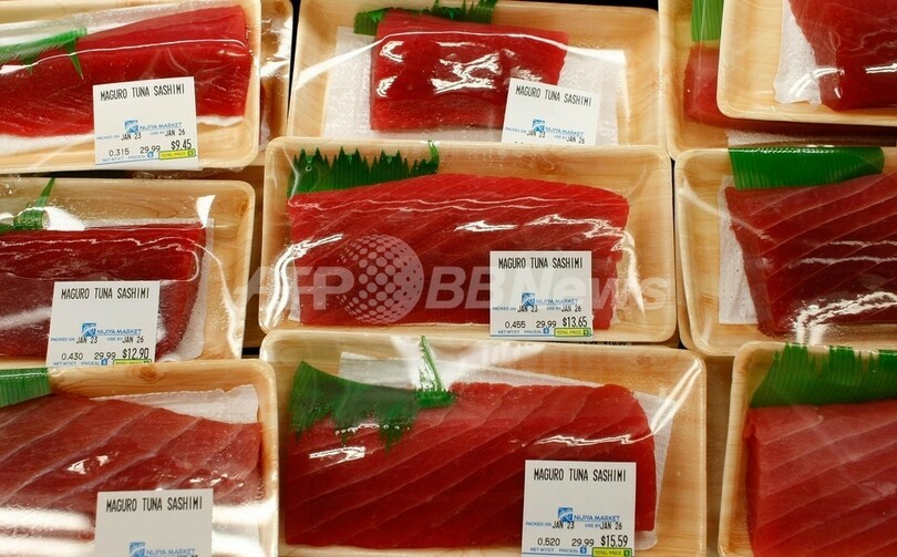 米国でマグロから基準超える水銀、日本政府は静観