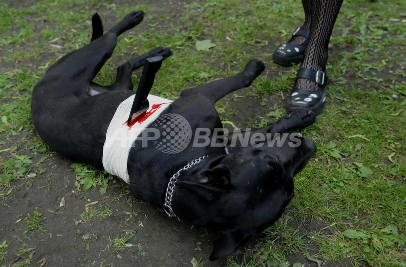 プラハの街にゾンビが出現