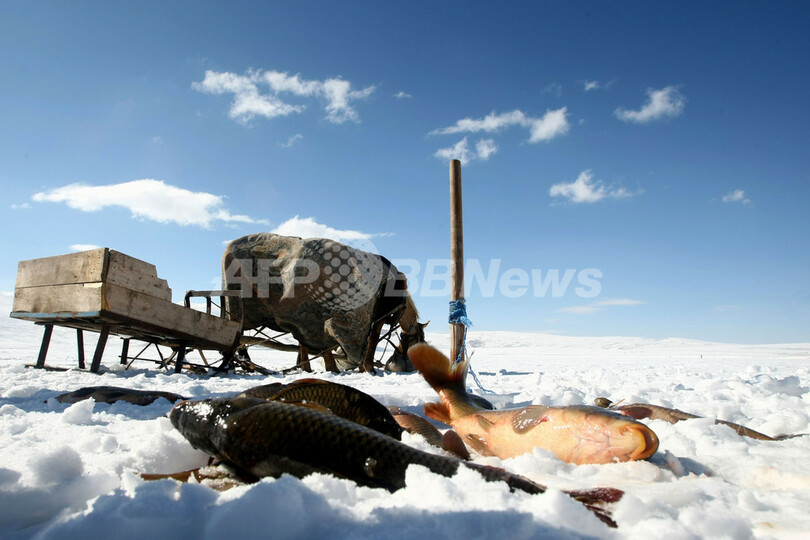 凍結した湖で魚釣り、氷の厚さは例年の半分以下 トルコ