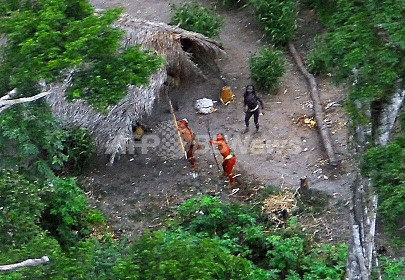 ペルー政府、ブラジル国境付近のアマゾンに住む先住民保護へ