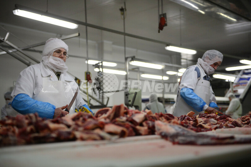 英警察、馬肉問題で国内2工場を強制捜査